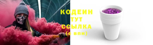 прущая мука Арсеньев