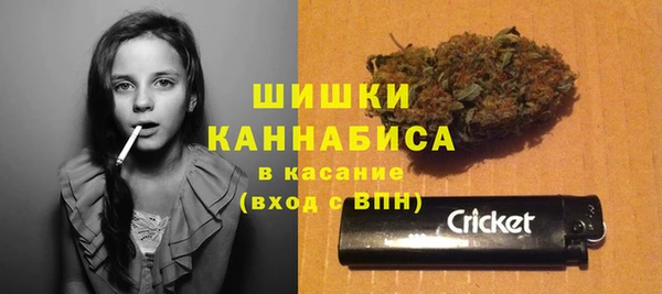 прущая мука Арсеньев